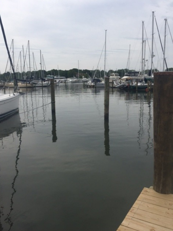 Seashell Marina Annapolis Marina with Slips for Rent